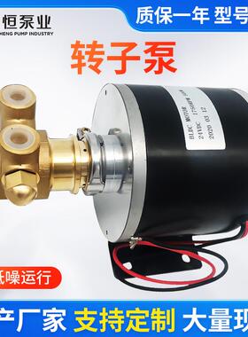 不锈钢微型转子泵饮水机黄铜直流电动自吸水泵水处理系统增压石墨