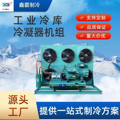 半封闭风冷制冷机组比泽尔压缩机冷库外机H型中高低温设备供应