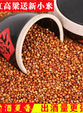 现货供红高粱东北红高粱酿酒用的糯高粱高粱米去壳带皮高粱红高粱