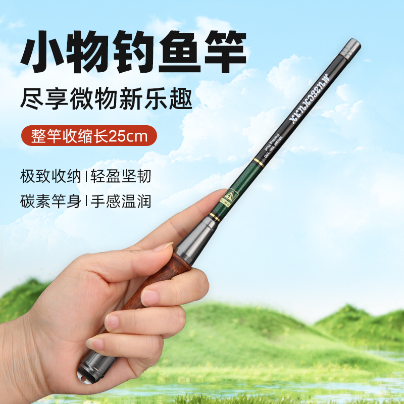 高碳新手儿童专用迷你小物钓鱼竿