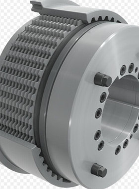 Ortlinghaus 0-422-101-25-000-300 制动器 旋转法兰