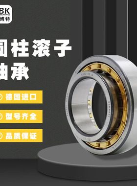 德国KBTBK进口圆柱滚子轴承人RN212 219 220 222 228EM轴承大全