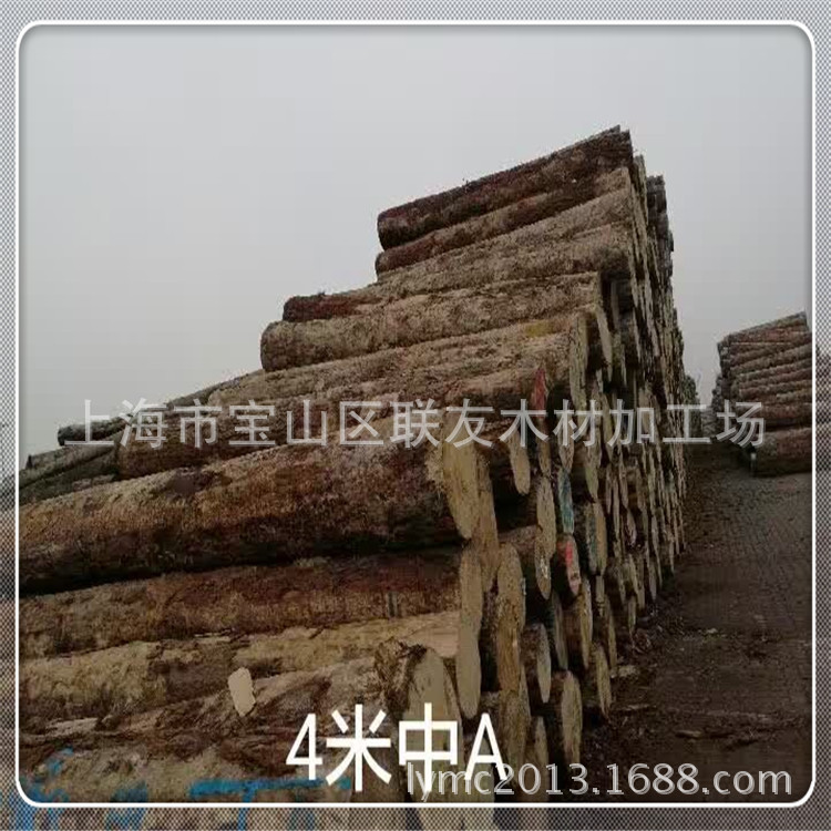 上海大量供应澳松原木  松木桩 原木桩 工地河道打桩木