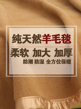 双人羊毛毯 冬季纯素色加大盖毯铺床垫毯子 防潮保暖柔软舒适铺床