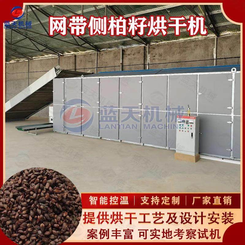 连续式侧柏籽烘干机 柏树籽柏子壳柏树叶烘干设备 侧柏种子干燥机