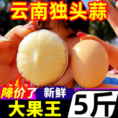 云南大理独头蒜大果5斤220个新鲜干蒜新蒜紫皮大蒜头独蒜圆蒜批发