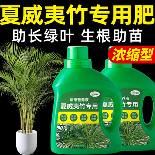 夏威夷竹肥料盆栽复合专用肥散尾葵浓缩营养液绿植园X艺植物室内