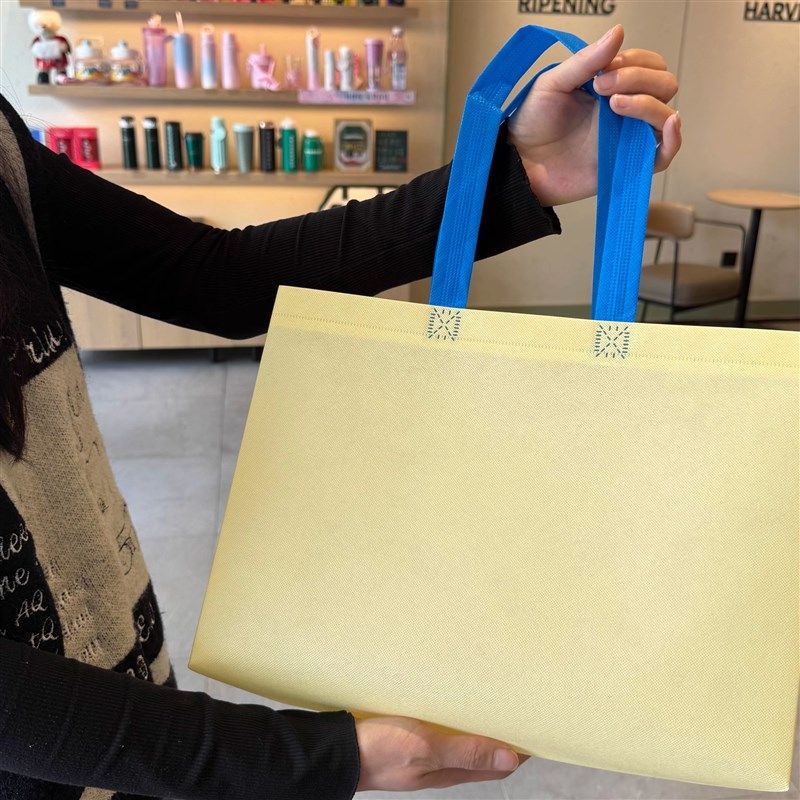 服装店手提袋子不织布布袋定制印刷logGo订做宣传环保女装包装购