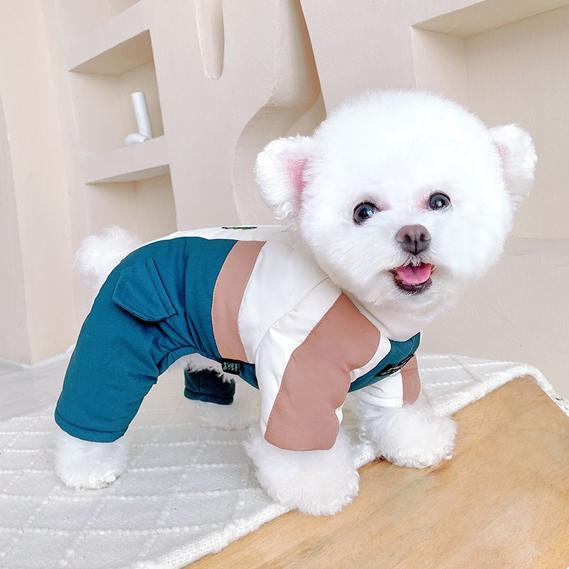 高端狗狗羽绒服秋冬款小狗衣服2024F新款泰迪比熊宠物保暖冬日四