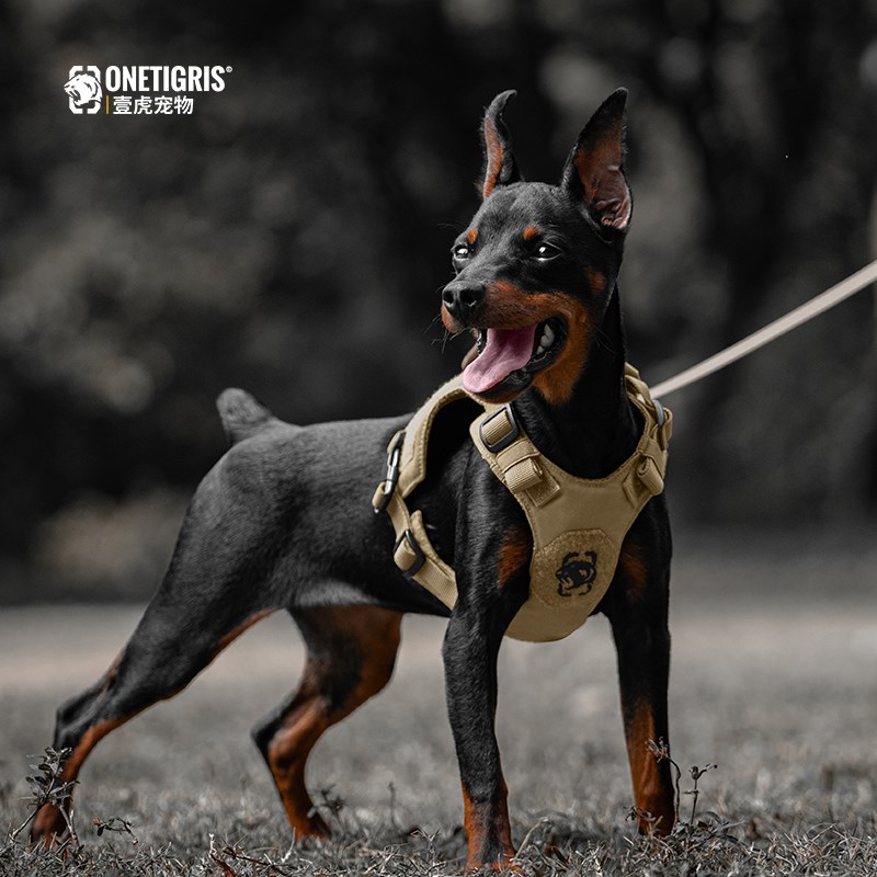 壹虎【小骑兵】k9狗狗牵引绳背心式F小型犬战术胸背泰迪雪纳瑞柴