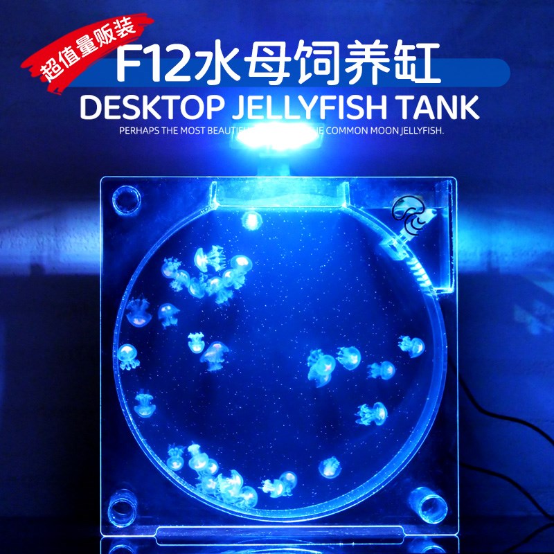 家庭水母饲养缸水母n缸桌面展示缸水族生态鱼缸赤月海月摆摊养殖