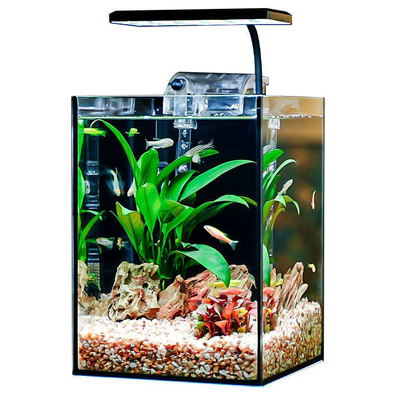 鱼缸客厅小型家用桌面办公室迷你专用斗鱼缸超白生W态造景自循环