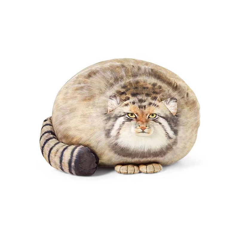 创意可爱日系g兔狲抱枕 治愈玩偶靠垫柔软凶猛猫咪毛绒玩具公仔