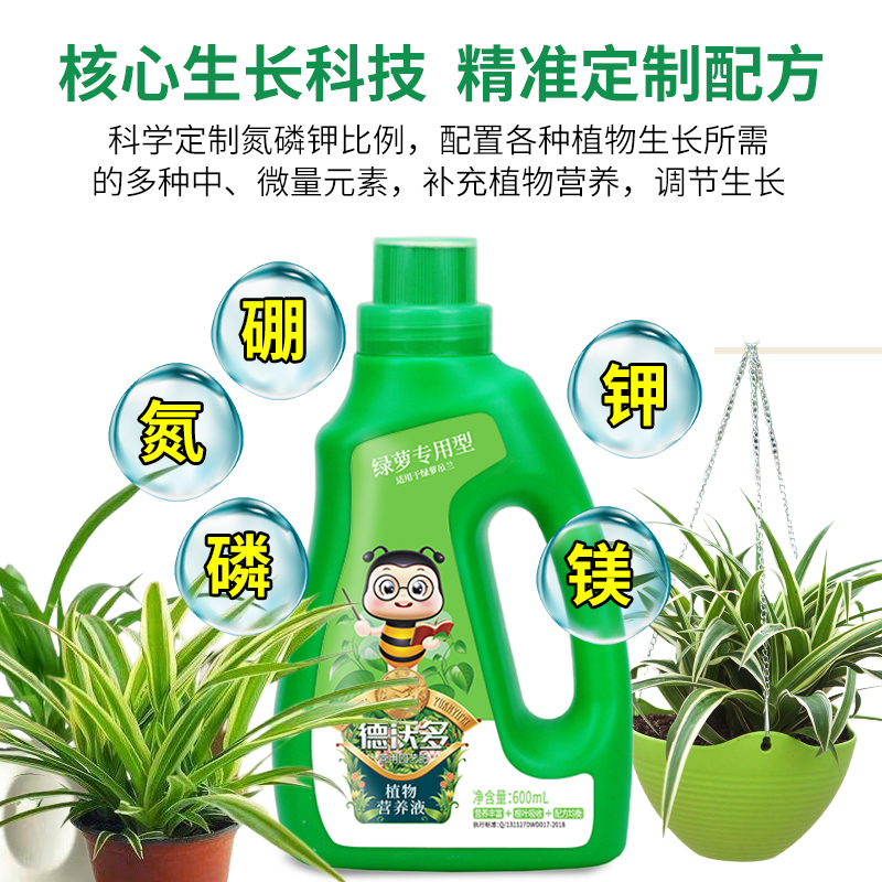 吊兰肥料肥f营养液金边吊兰养花家用土水培盆栽植物通用型花肥