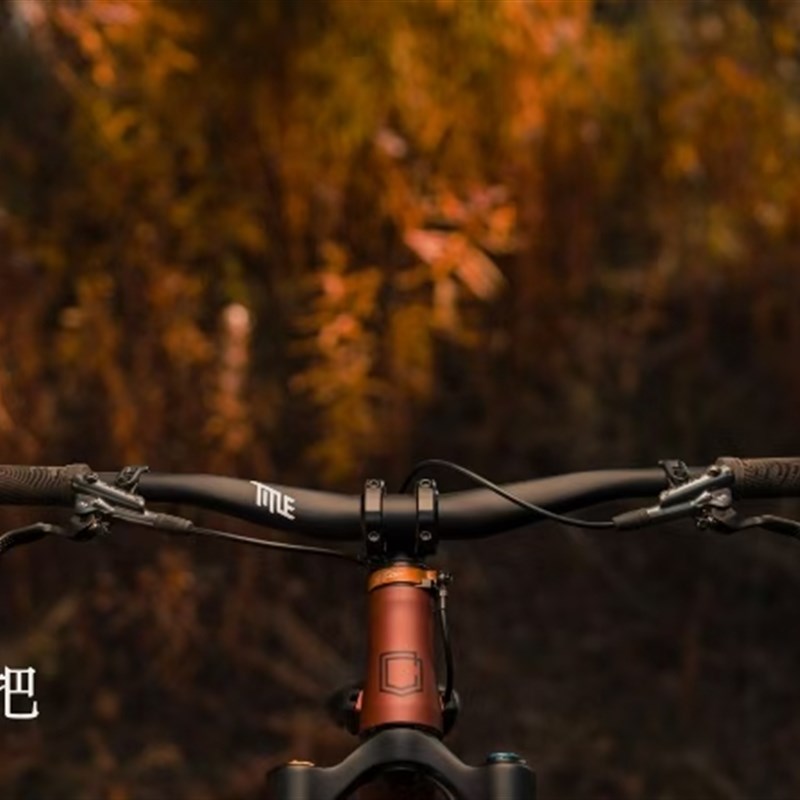 加拿大Title把横AH1p 31.8/35口径铝合金 全把横山地车土坡车车把