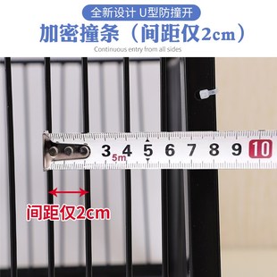 天落籠鴿子籠加密鴿子活絡(luò)門只進(jìn)不出撞門鴿籠鐵R籠跳籠自動(dòng)門神