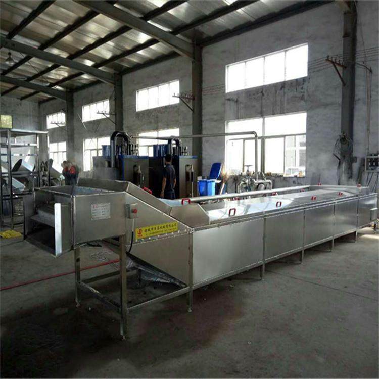 供应宁夏枸杞全自动不锈钢清洗机烘干机葡萄干气泡清洗机