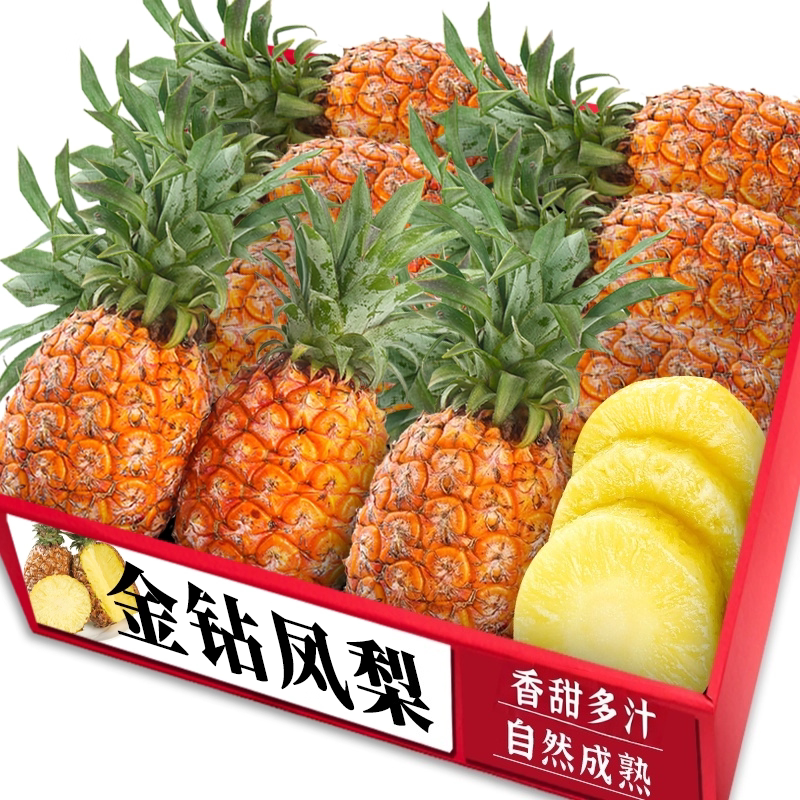 正宗金钻凤梨|商超精选|农家推荐