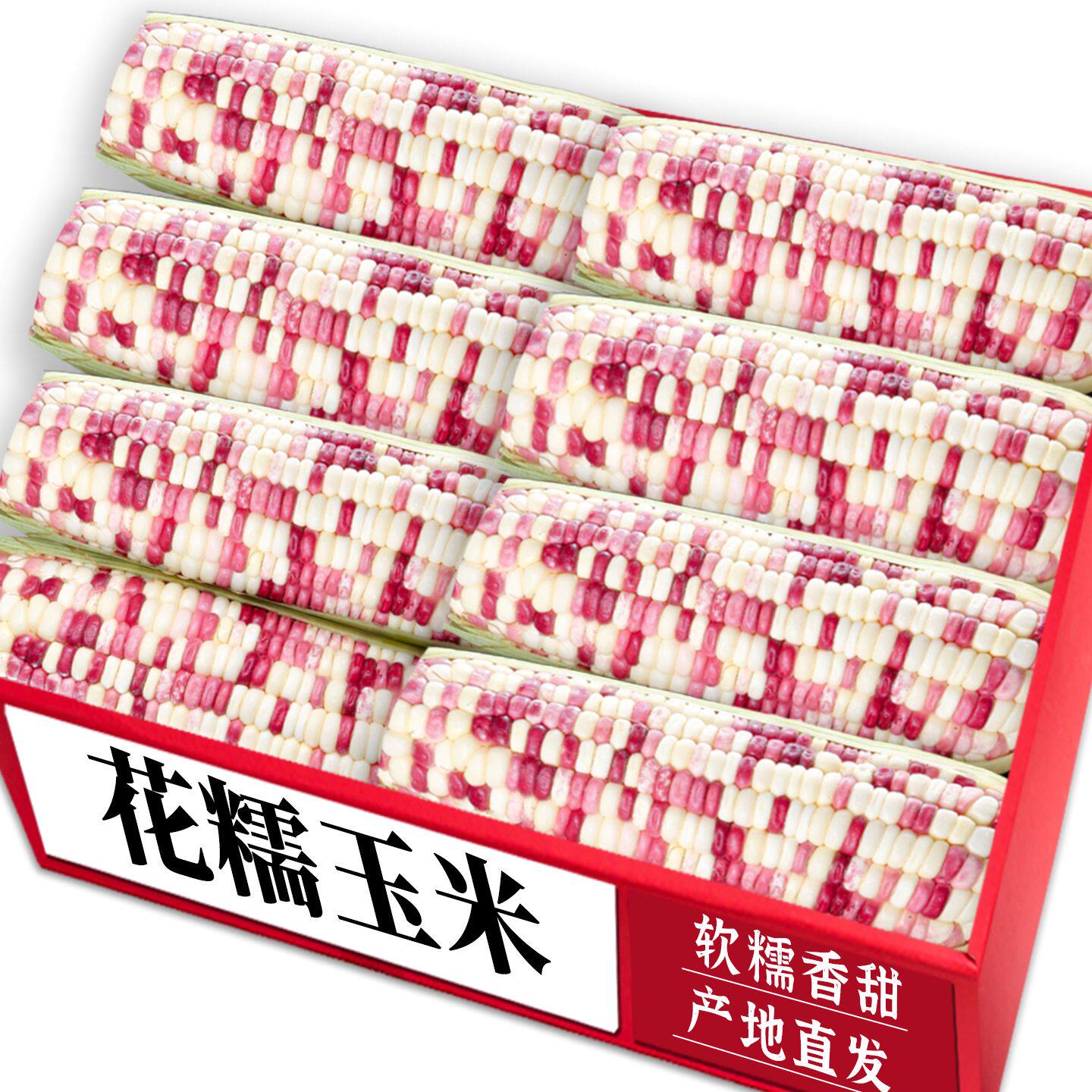 【花糯玉米】老农精选|营养美味