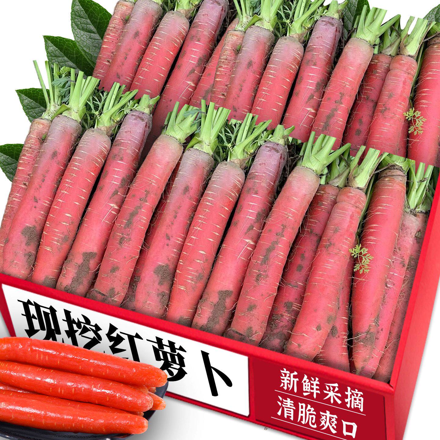 新鲜红萝卜!;老农力荐!可口
