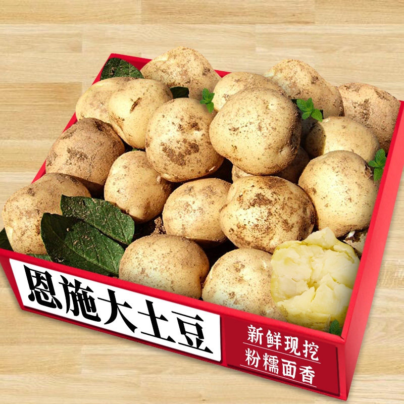 恩施大土豆|精选蔬菜|商超品质