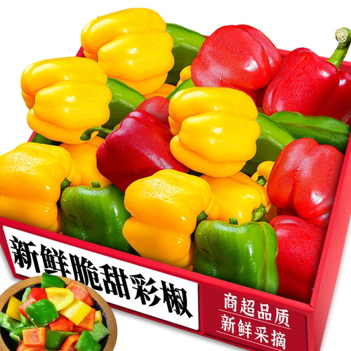 【三色彩椒】老农现摘|不辣微甜
