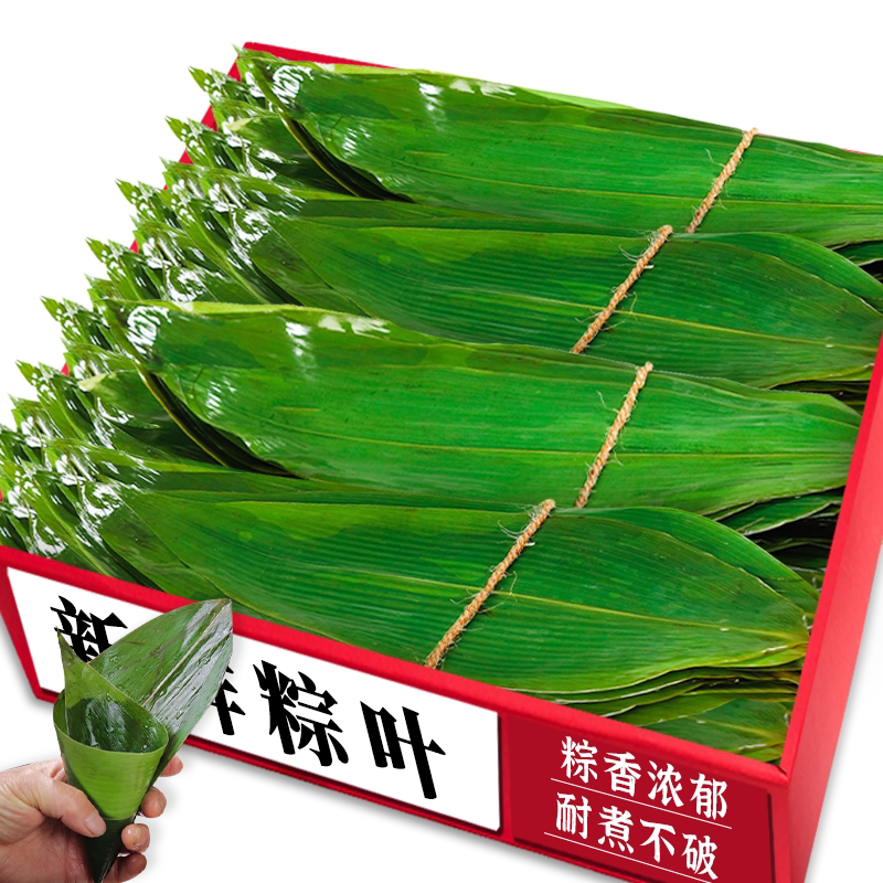 【新鲜粽叶】耐煮不破!粽香浓郁