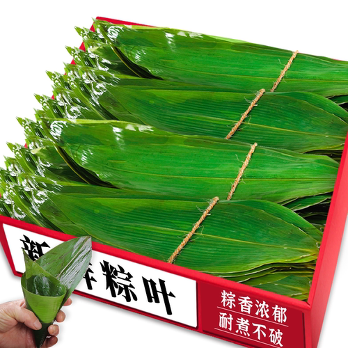 【新鲜粽叶】耐煮不破！粽香浓郁