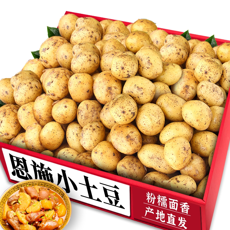 精选恩施小土豆5A级品质商超精选