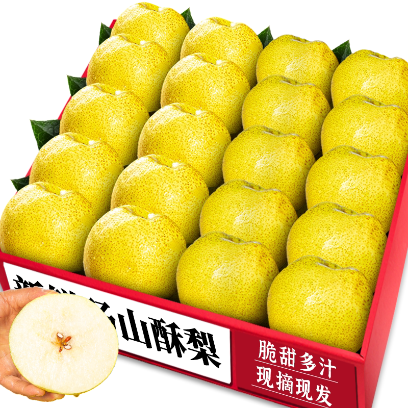 现摘砀山酥梨|脆甜可口|产地直发