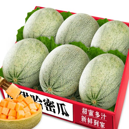 正宗哈密瓜|甜蜜多汁|商超一级