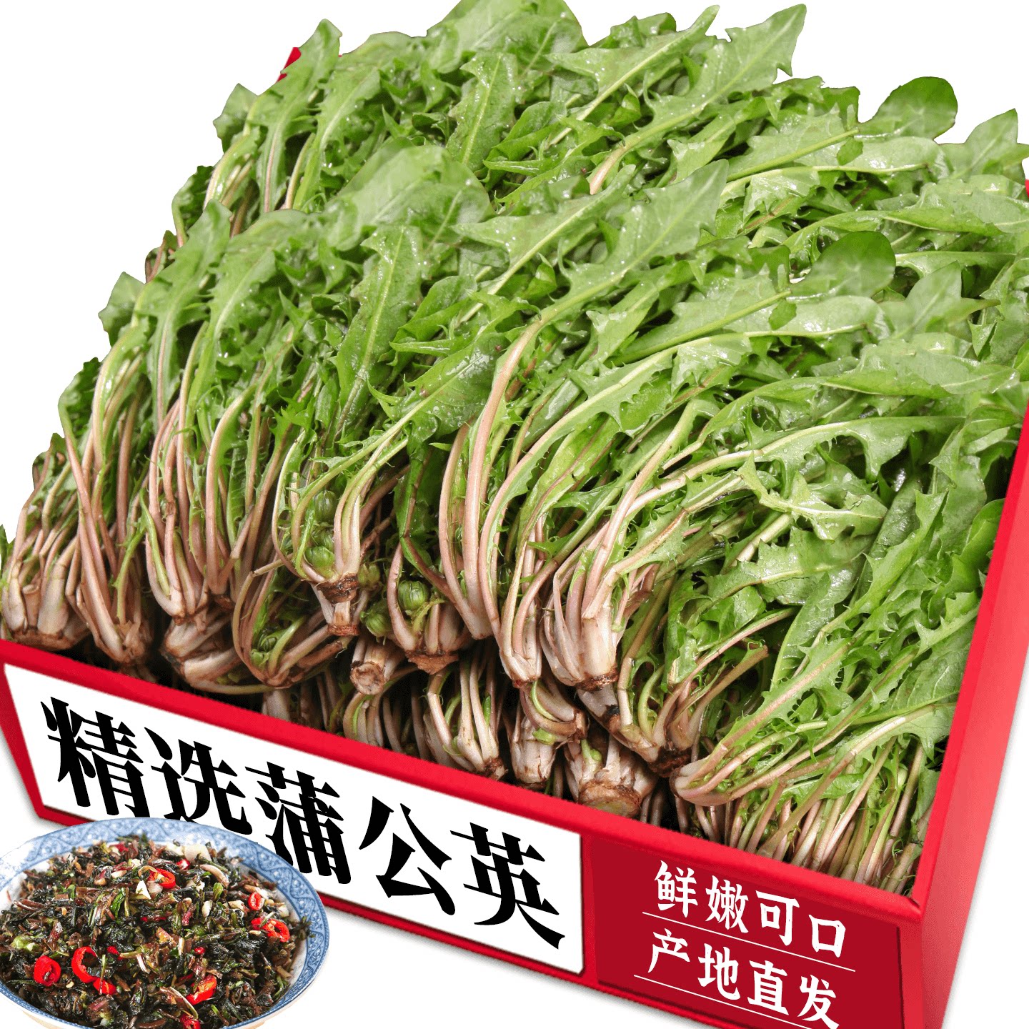 当季蒲公英！蘸酱菜|现挖现发！