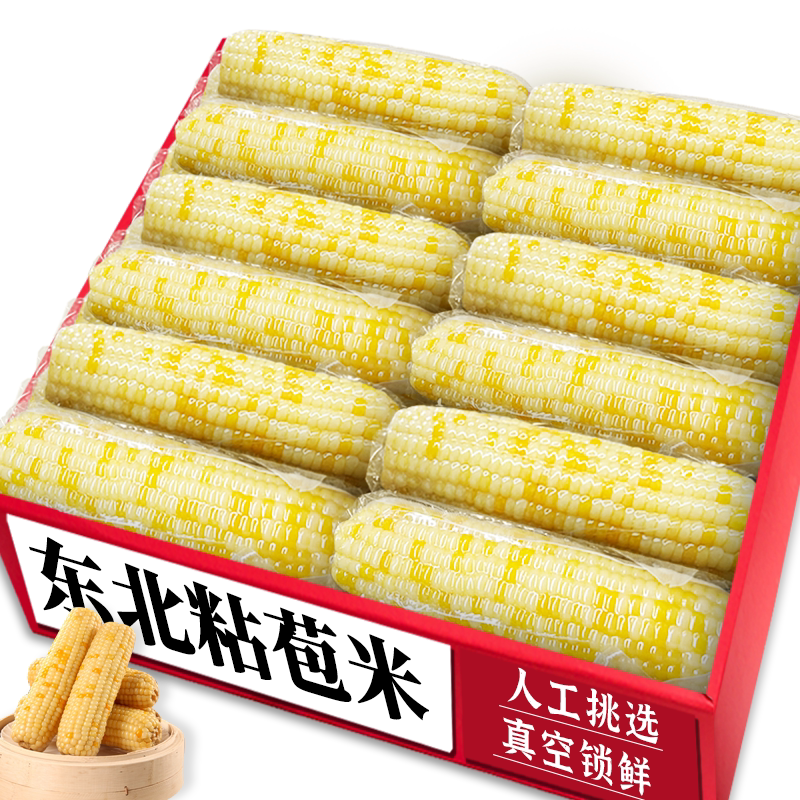 东北花糯粘苞米!根根精选|软糯