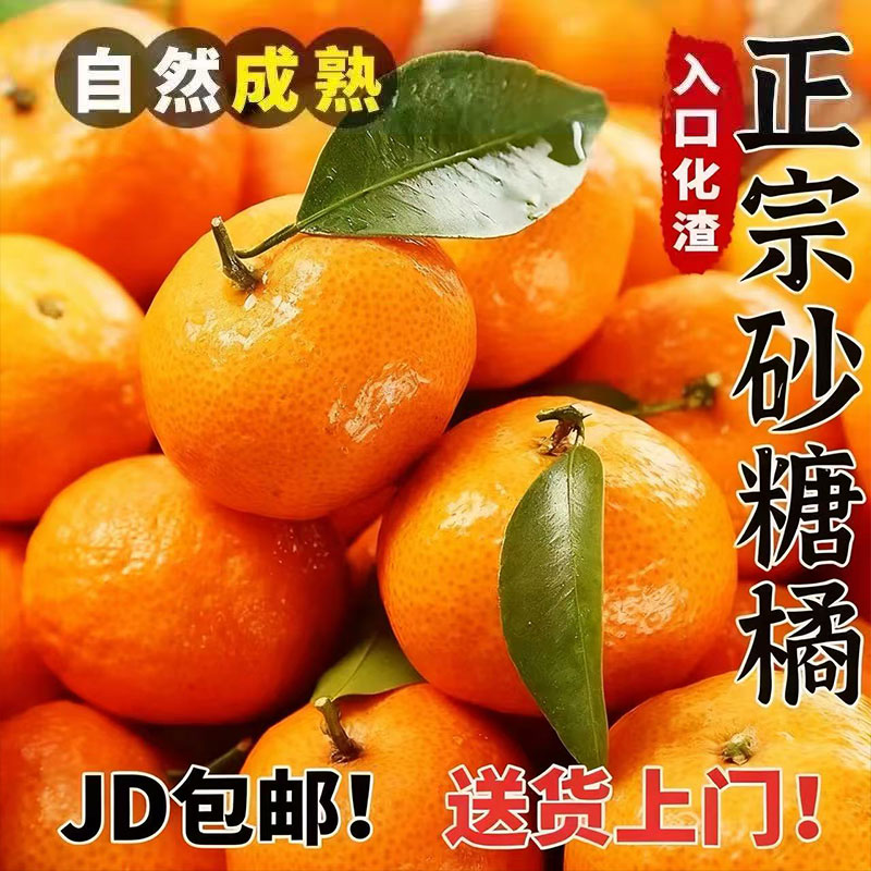 JD广西砂糖桔新鲜无籽沙糖橘子