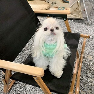 博美比熊泰迪P狗狗猫咪幼猫款 宠物衣服春秋冬背心防掉秋冬季 针织