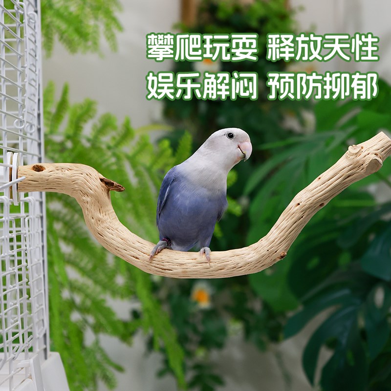 咔昂星鸟笼梨木站杆小鸟磨x嘴磨爪站架鹦鹉磨嘴器鸟笼配件秋千