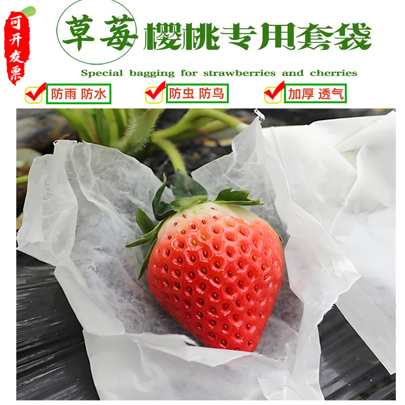 草莓套袋蜡纸袋防雨水防鸟虫樱桃袋蜡袋育果袋青枣果袋车厘子包邮,农机/农具/农膜,水果套袋/果袋,淘宝优惠券,粉丝福利购,淘宝优惠卷