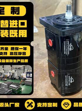 HENGYUHANG齿轮泵2PDF定制DANFOSSMARZOCCHIRexroth双联液压泵