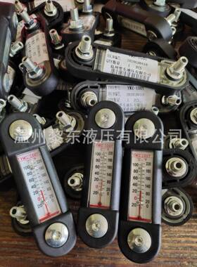 FL69221122501239268765SAB.1562.10.NPT934331液位计滤芯