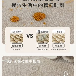 布鲁罗曼韵说 北欧客厅高级轻奢茶几地毯家用免洗沙发卧室地垫