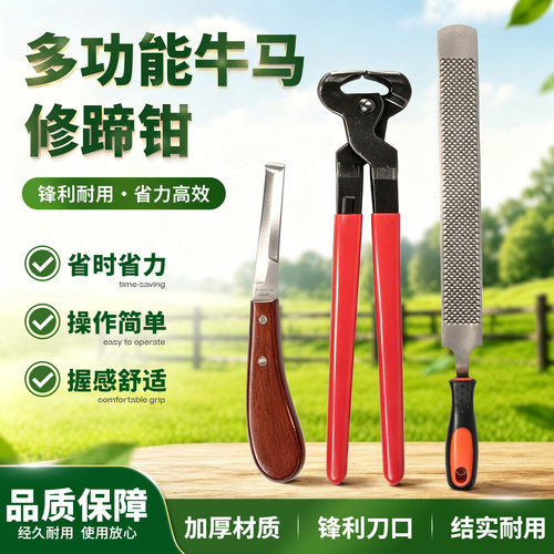 马用修蹄钳牛蹄剪刀兽用修蹄套装大号平口剪蹄钳马房用品修蹄锉刀