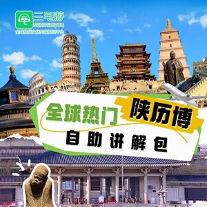三毛游陕西历史博物馆激活码兵马俑大雁塔语音讲解APP会员讲解
