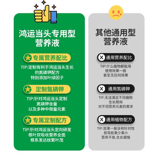鸿运当头肥c料专用营养液室内凤梨花盆栽促开花防治黄叶浓缩液体