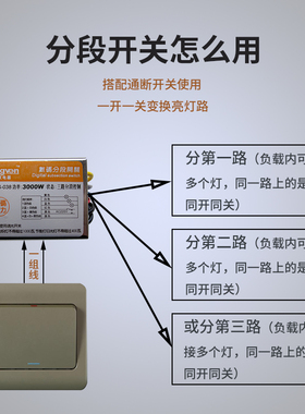 分段开关灯具照明家用220uV吊灯日光灯专用分组器电灯分控器控制