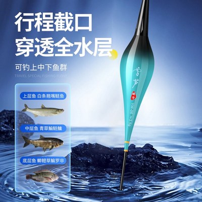 鸽子蛋夜光漂超亮LED高灵敏电子鱼漂H硬尾变色抗流水枣核型流氓漂