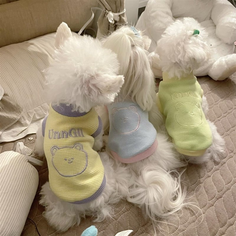 博美泰迪比熊小型犬小狗防掉毛z宠物狗狗衣服春秋夏季薄款马尔济
