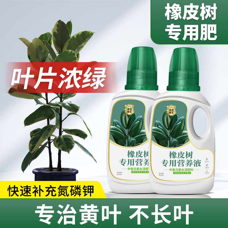 橡皮树营养液花h肥发黄掉叶枯萎黑金刚橡皮树专用肥料盆栽液体肥