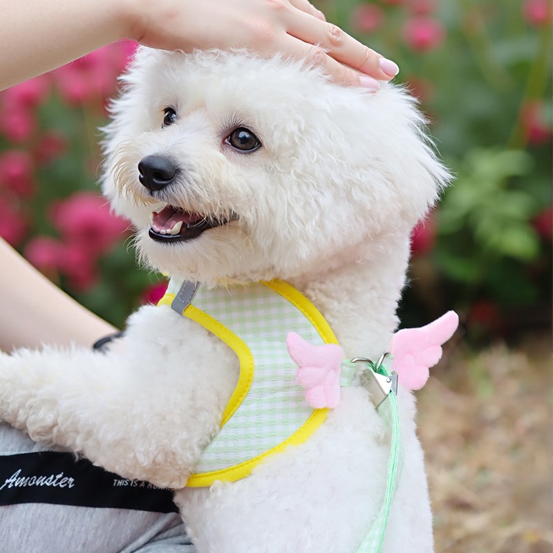 小狗牵引绳背心式狗绳天使狗狗胸背E猫绳中小型犬比熊泰迪遛狗背