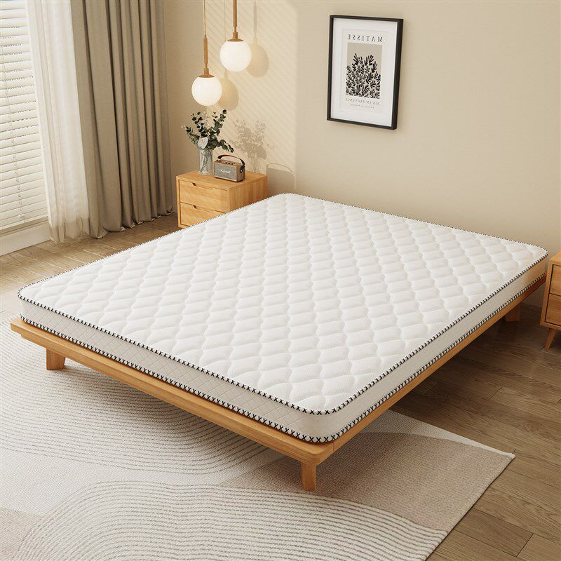 纯椰棕硬垫护脊棕榈牀垫家用卧室专用牀垫180x200偏硬Y不塌陷薄垫