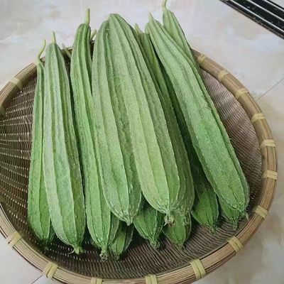 广东新鲜丝瓜棱角丝瓜八角瓜现摘大肉丝瓜清甜农家新鲜蔬菜1-5斤